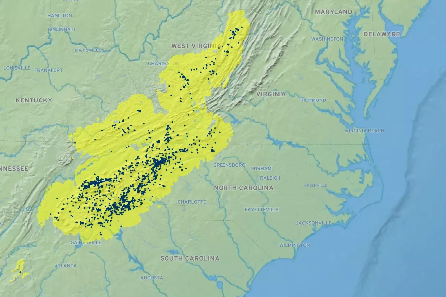 Magnolia fraseri Native Range