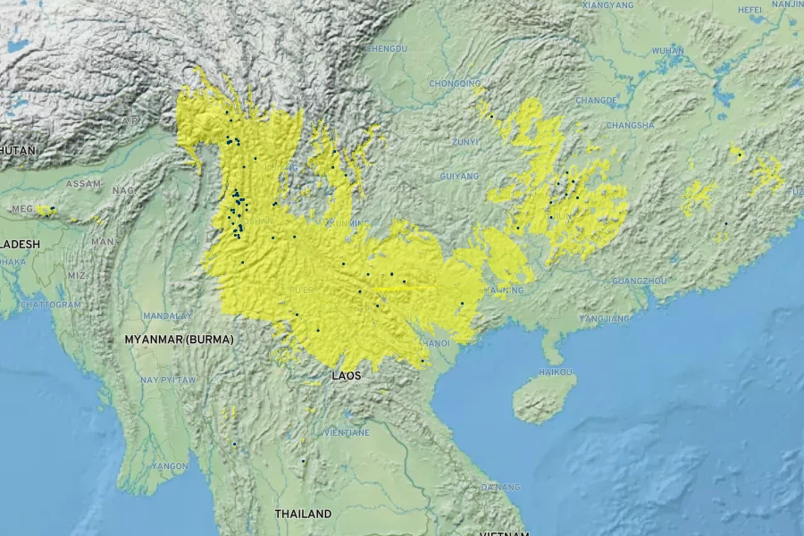Magnolia insignis Native Range