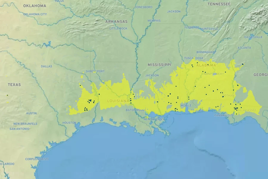 Magnolia pyramidata Native Range