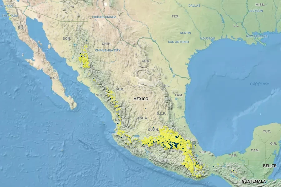 Mahonia moranensis Native Range