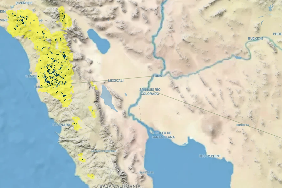 Malacothamnus densiflorus Native Range