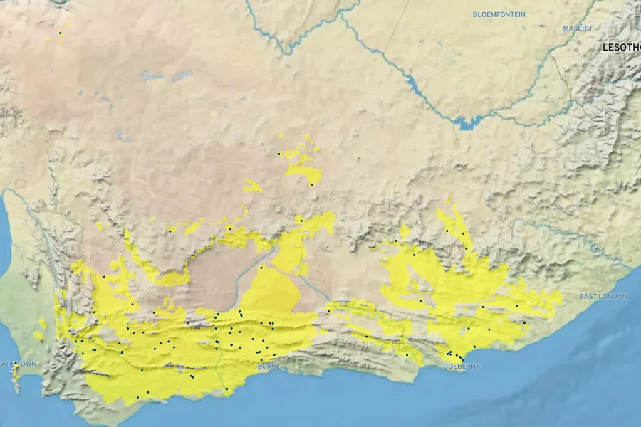 Malephora lutea Native Range