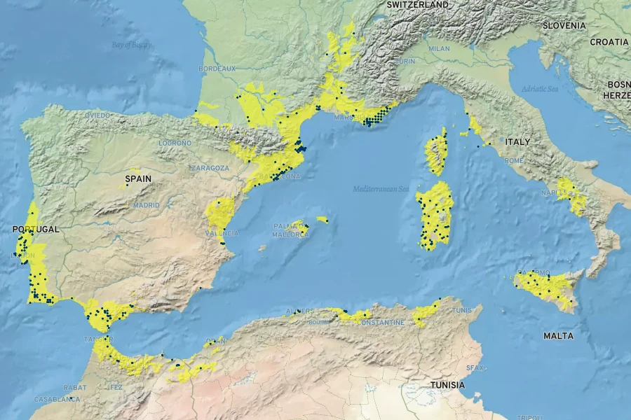 Malva olbia Native Range