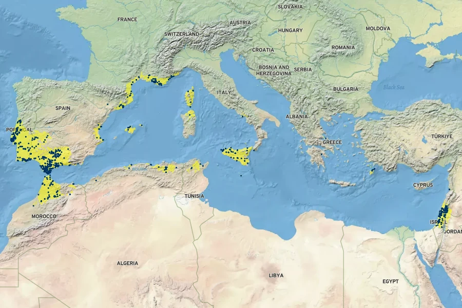 Malva trimestris Native Range