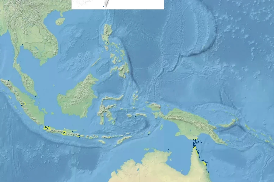 Manilkara kauki Native Range