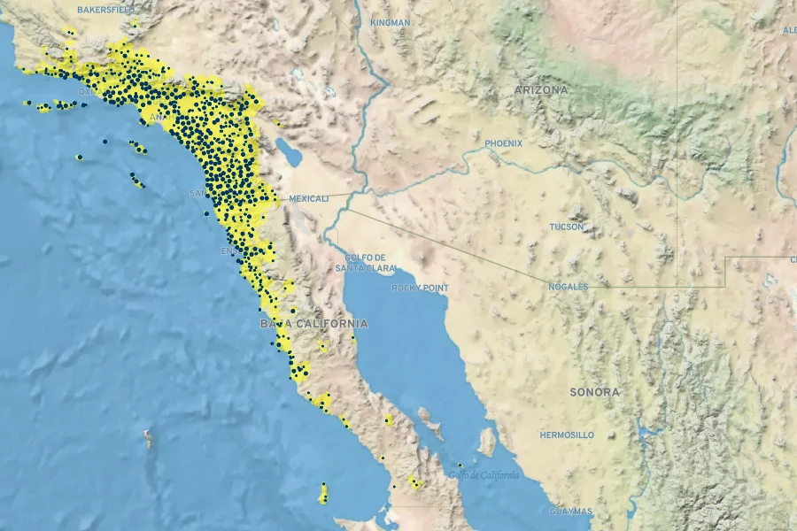 Marah macrocarpa Native Range