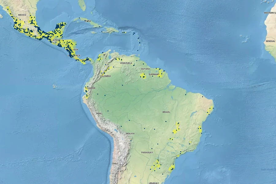 Maranta arundinacea Native Range