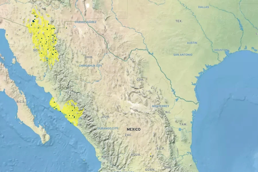 Mariosousa millefolia Native Range