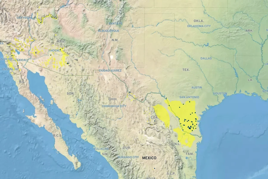 Matelea parviflora Native Range