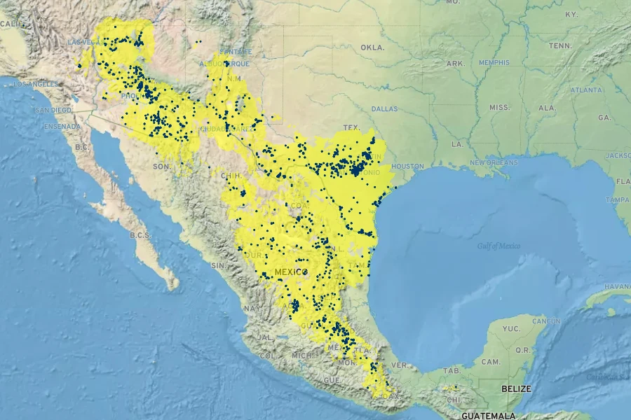 Maurandella antirrhiniflora Native Range