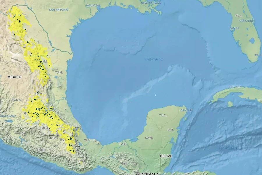 Maurandya barclayana Native Range