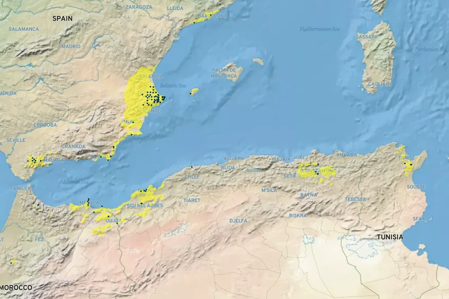 Mauranthemum paludosum Native Range