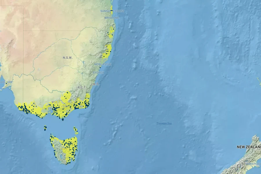 Mazus pumilio Native Range