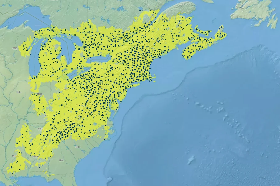 Medeola virginiana Native Range
