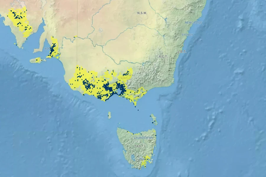 Melaleuca armillaris Native Range