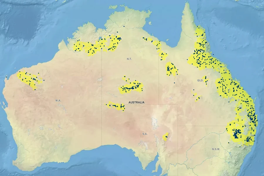 Melaleuca bracteata Native Range