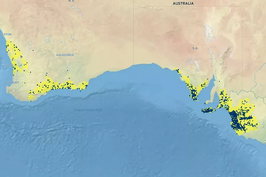 Melaleuca brevifolia Native Range