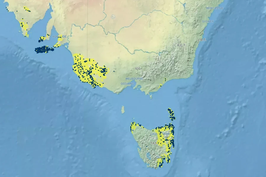 Melaleuca gibbosa Native Range