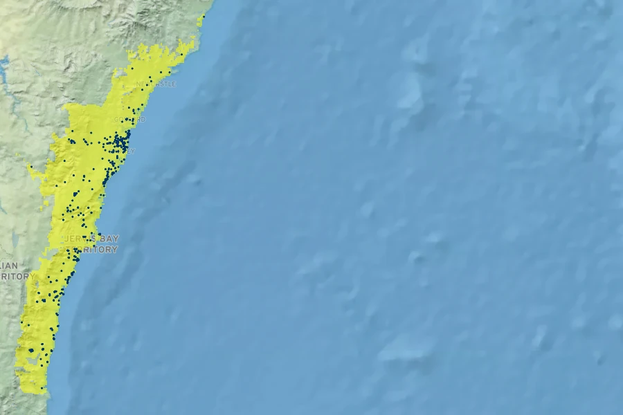 Melaleuca hypericifolia Native Range