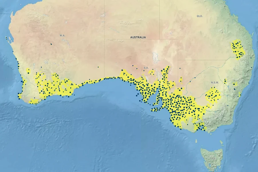 Melaleuca lanceolata Native Range