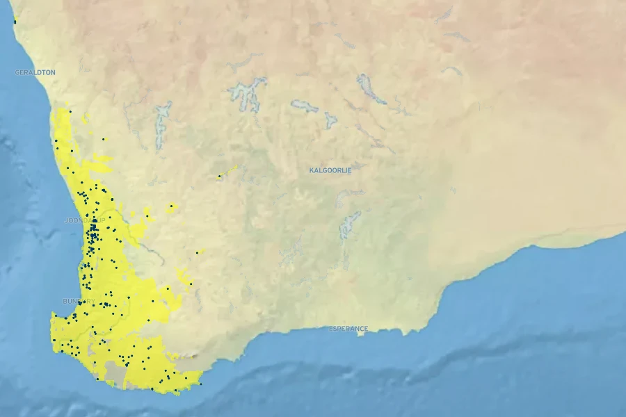 Melaleuca lateritia Native Range