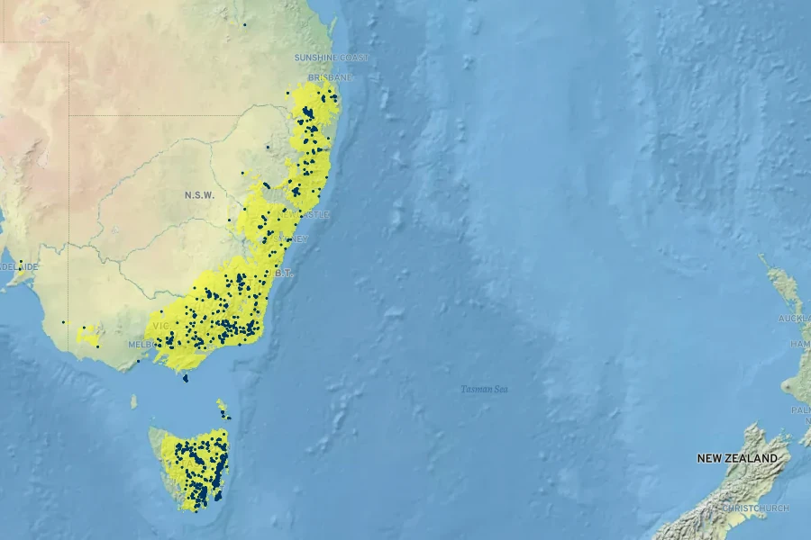 Melaleuca pallida Native Range