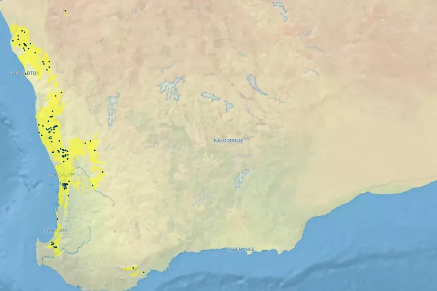 Melaleuca pulcherrima Native Range