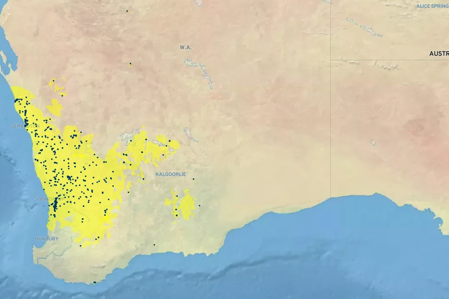 Melaleuca radula Native Range