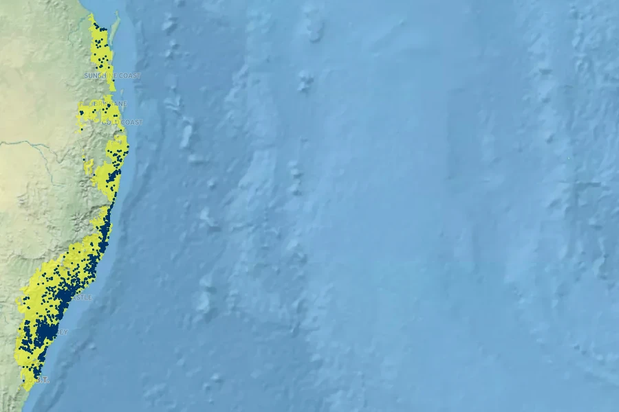 Melaleuca styphelioides Native Range