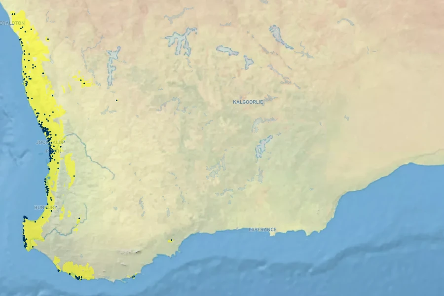 Melaleuca systena Native Range