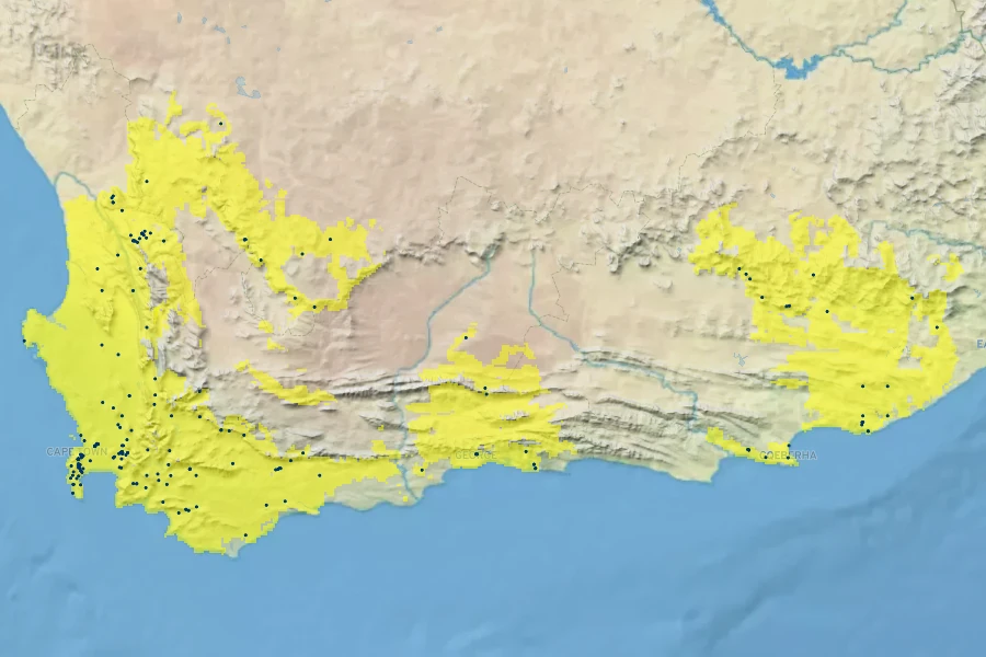 Melianthus major Native Range
