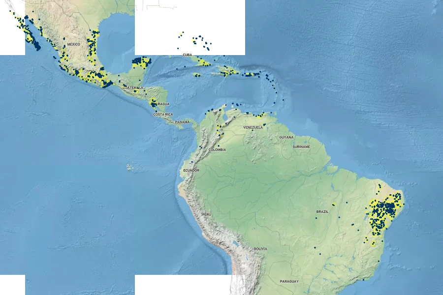 Melochia tomentosa Native Range