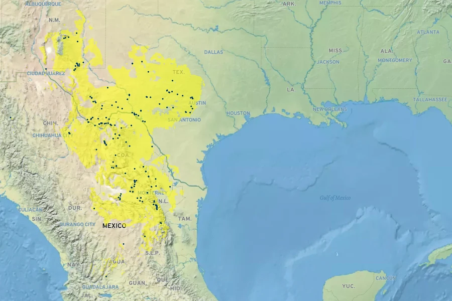 Menodora longiflora Native Range