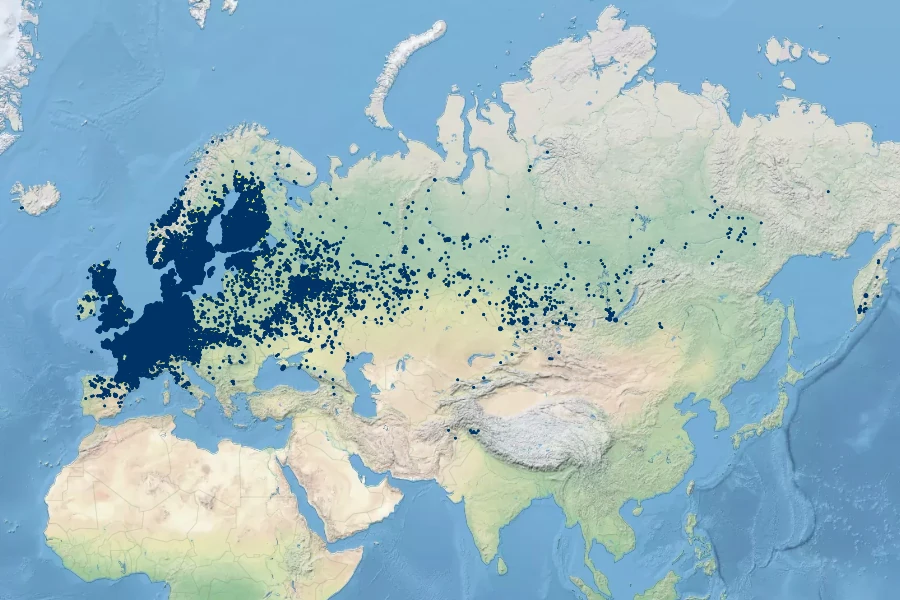 Mentha arvensis Native Range