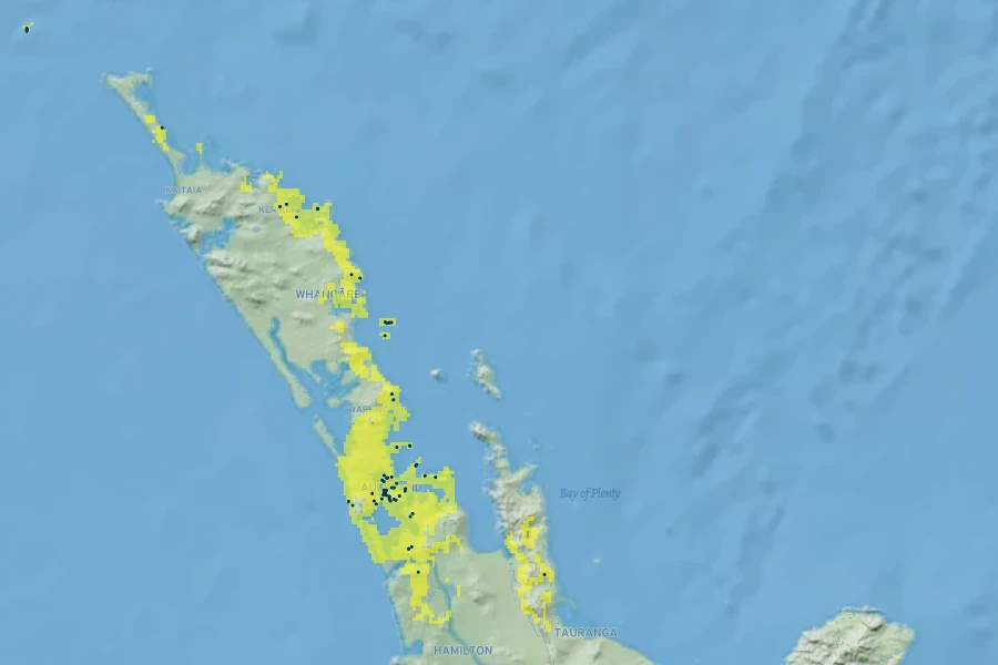 Meryta sinclairii Native Range