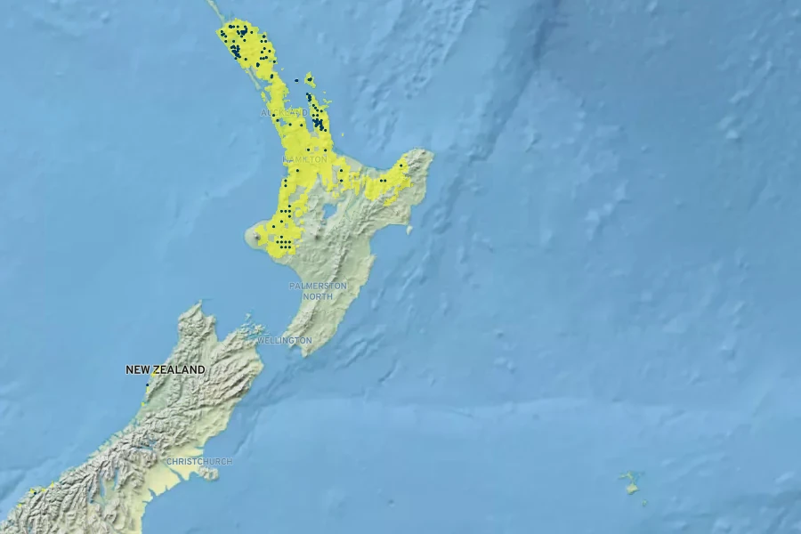 Metrosideros albiflora Native Range