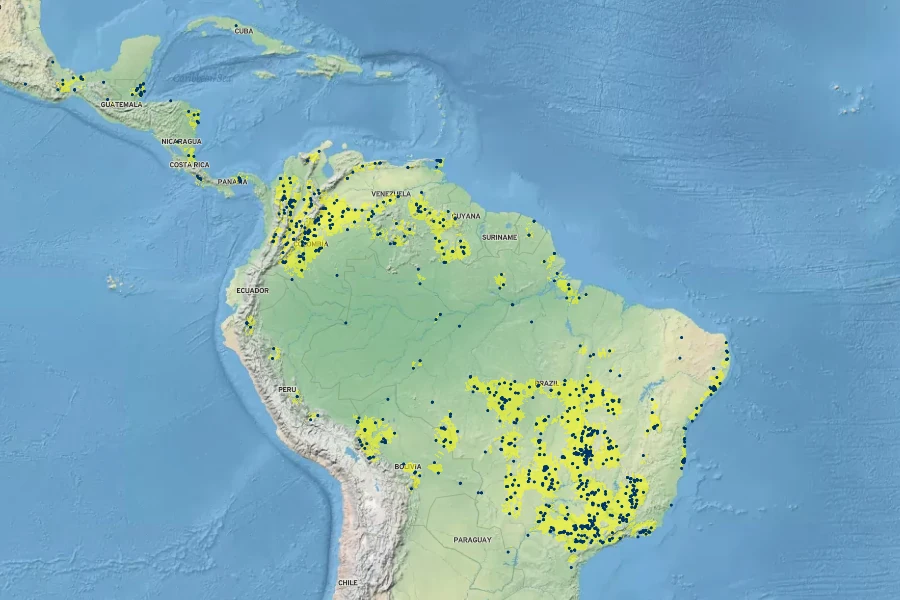 Miconia stenostachya Native Range