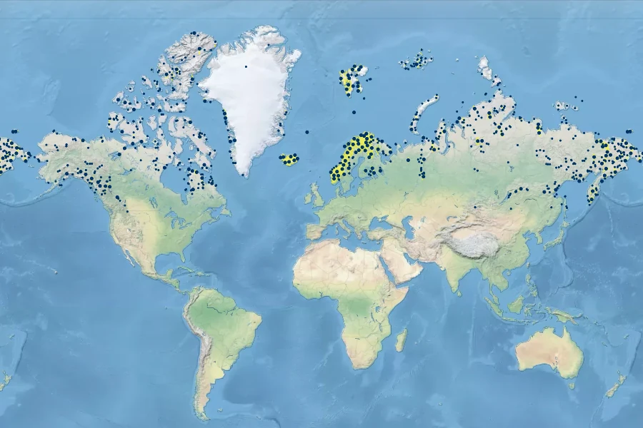 Micranthes nivalis Native Range