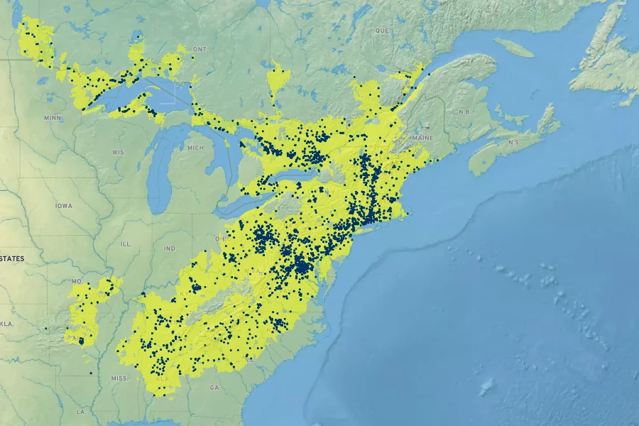 Micranthes virginiensis Native Range