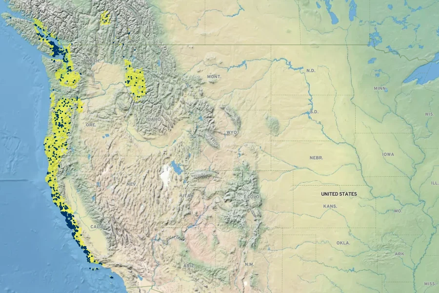 Micromeria douglasii Native Range