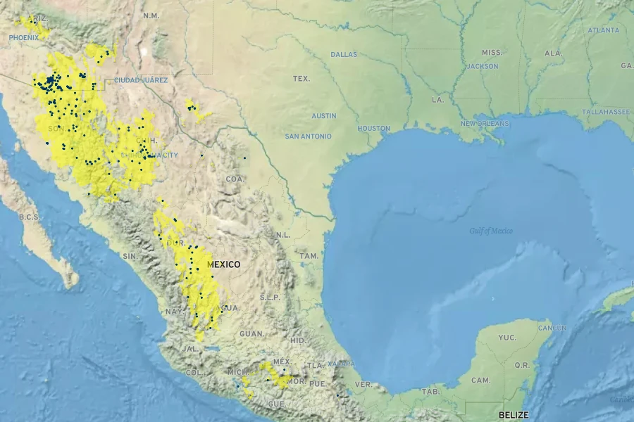 Mimosa dysocarpa Native Range