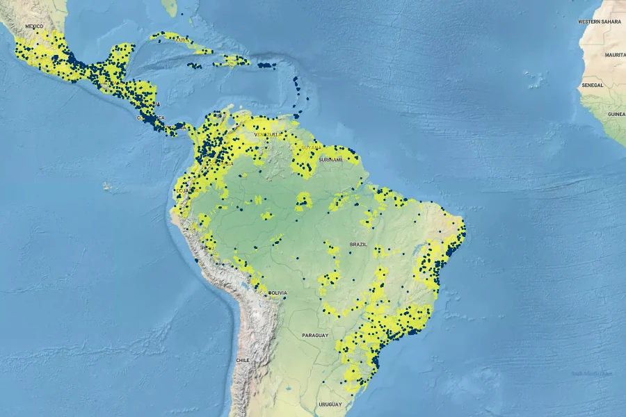 Mimosa pudica Native Range