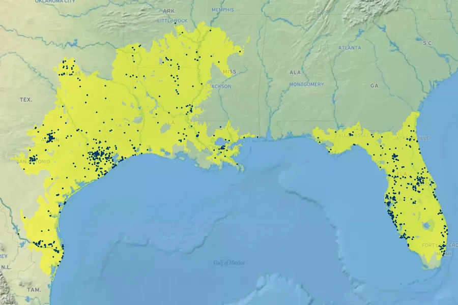 Mimosa strigillosa Native Range