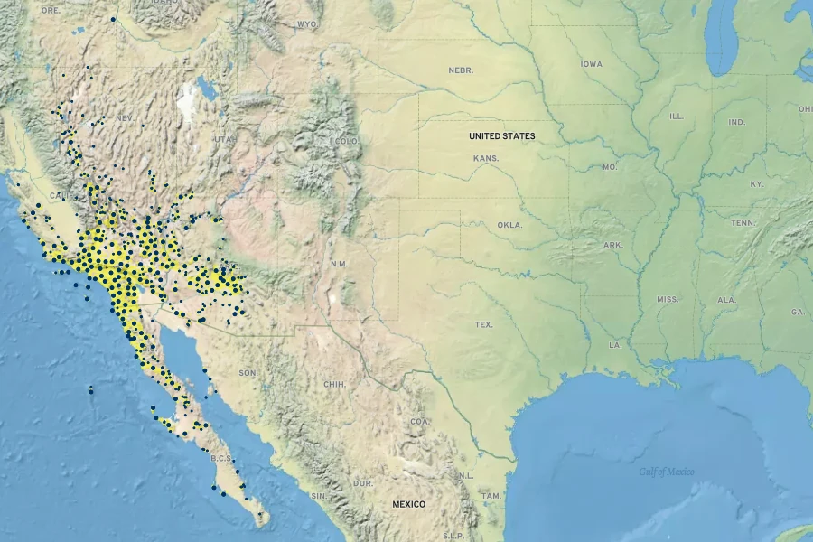 Mirabilis laevis Native Range