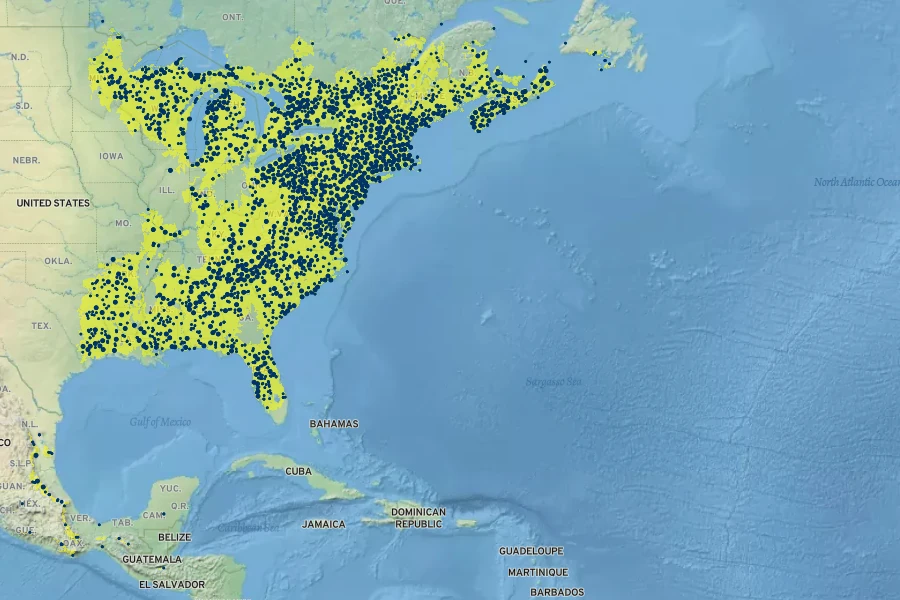 Mitchella repens Native Range