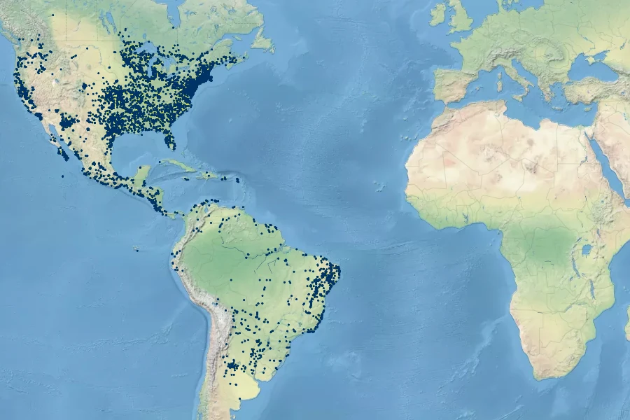 Mollugo verticillata Native Range
