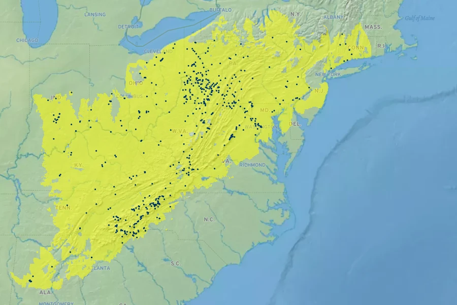 Monarda clinopodia Native Range
