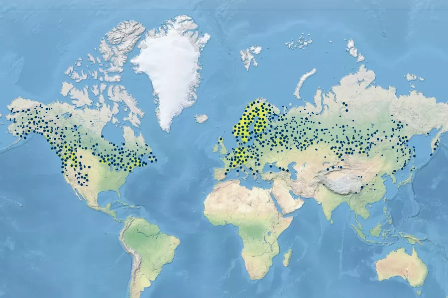 Moneses uniflora Native Range