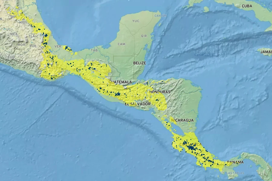 Monstera deliciosa Native Range
