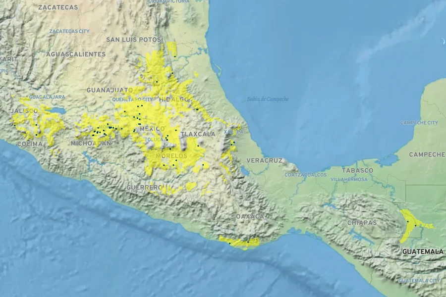 Montanoa grandiflora Native Range